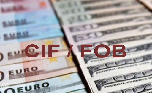 Döviz Kullanım Oranı (DKO)