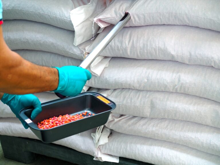 BEYAN SAHİBİNİN TALEBİ ÜZERİNE ANTREPODAKİ EŞYANIN İNCELENMESİ VE EŞYADAN NUMUNE ALINMASI