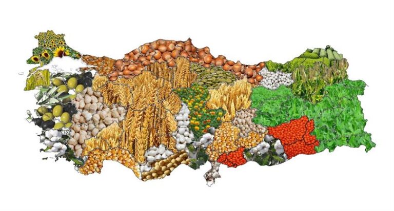 Kapsamak Ya Da Kapsamamak İşte Bütün Mesele Bu (!) (YGM DK1 Tespit Raporu)